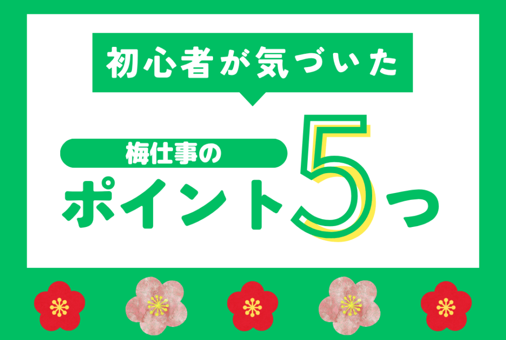 初心者が気づいた梅仕事のポイント5つとテキストが書かれている